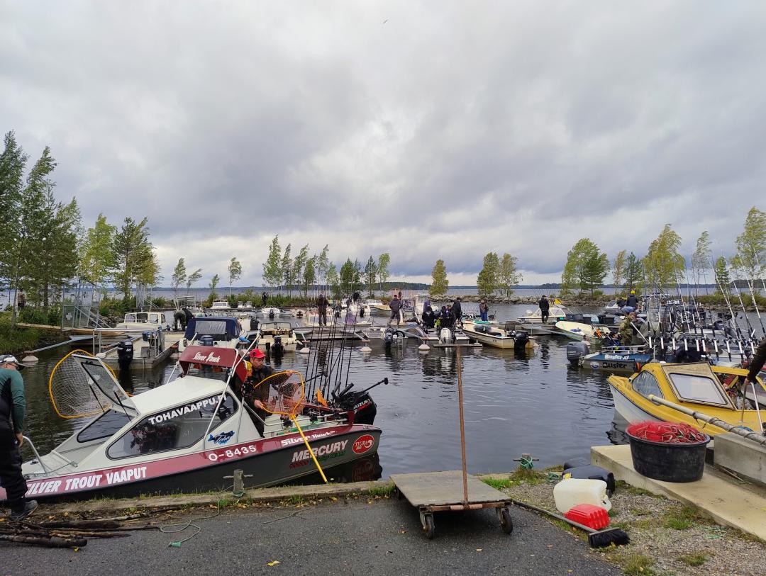 kuvassa on uisteluveneitä.